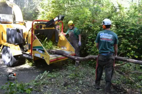 tree services Camilla